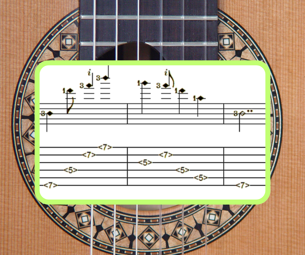 gitaaravond over flageoletten